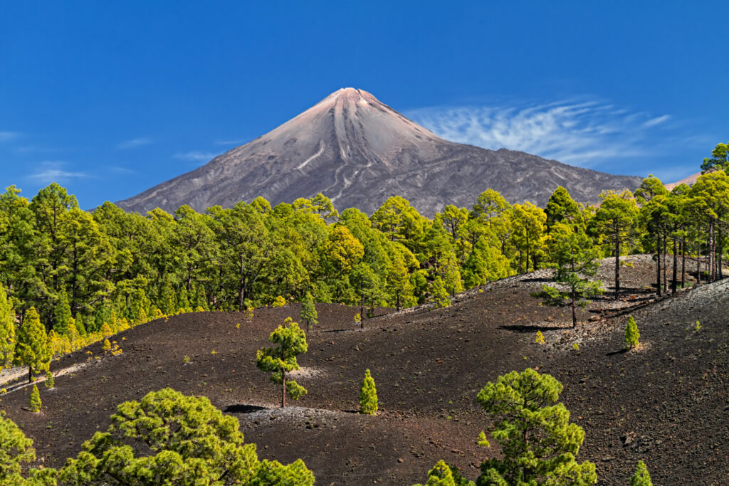 Canary Island Christmas Cruise